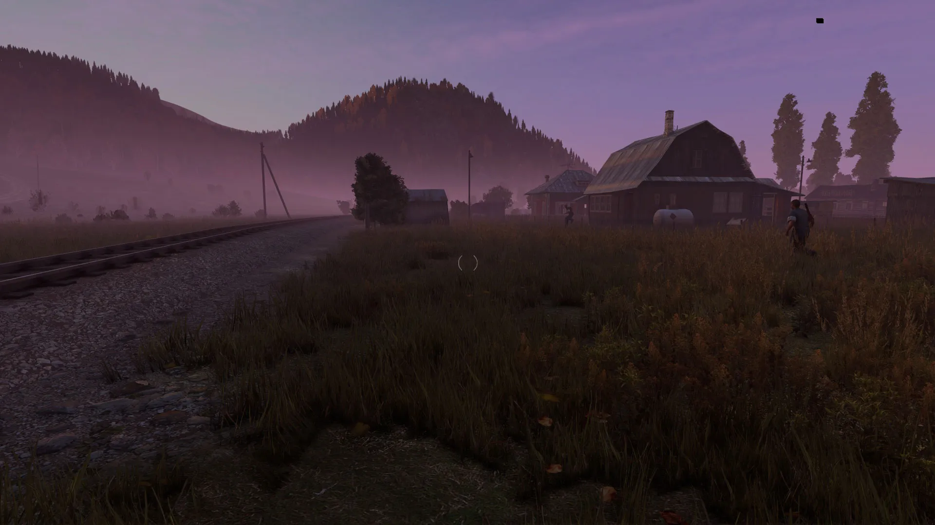 DayZ